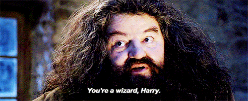 Harry-Potter-Hagrid-Youre-A-Wizard-Harry - What's A Geek